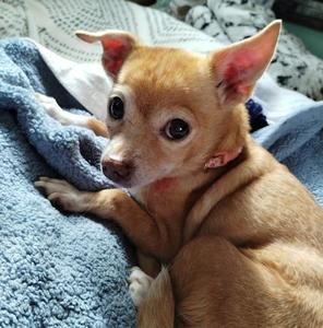 Meet your Posher, Laura